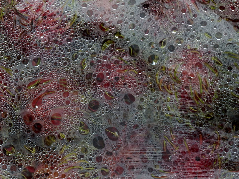 08072015 332/365