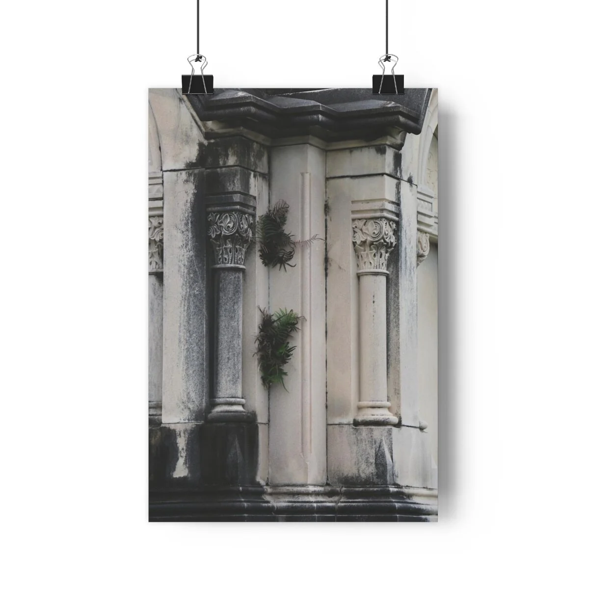 66c53d565fae57e24df0a5fab93ec1ff