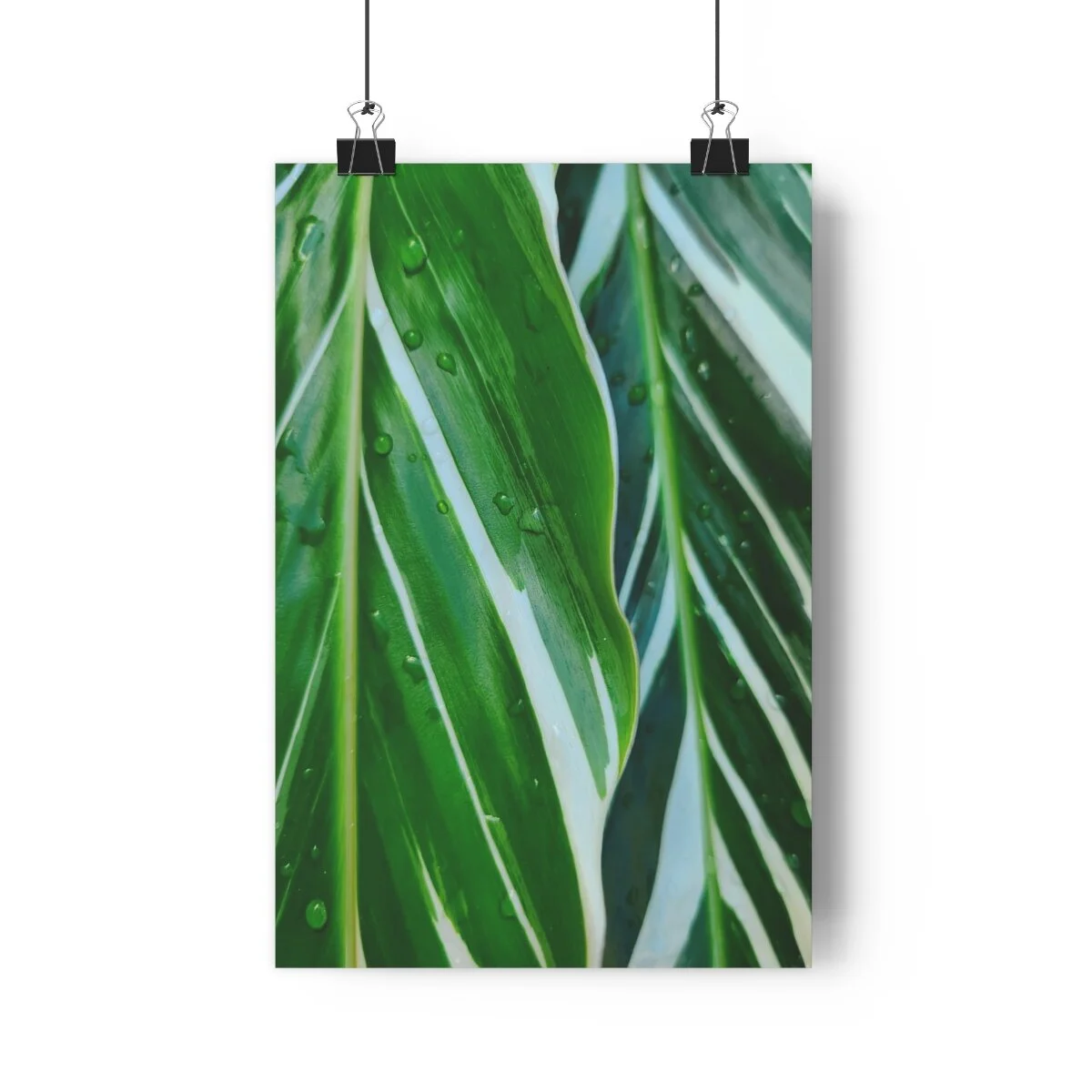 6464c8b7b16df8668d8705943a7322c3