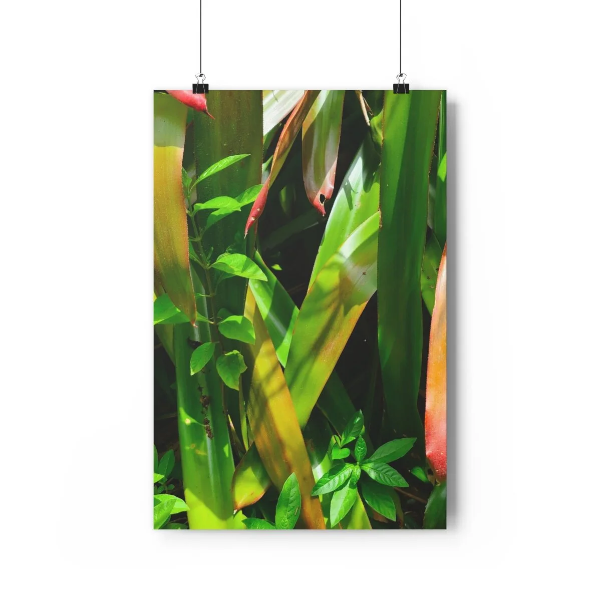 643470df05de349ed3dd700cb75d6f58