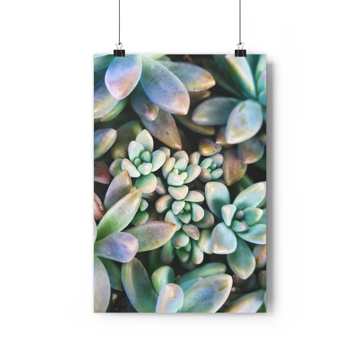 fee7d8fcfb75ced5a72dc15e94ea56b9