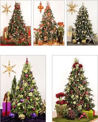 platinum_touch_design_holiday_trees.jpg