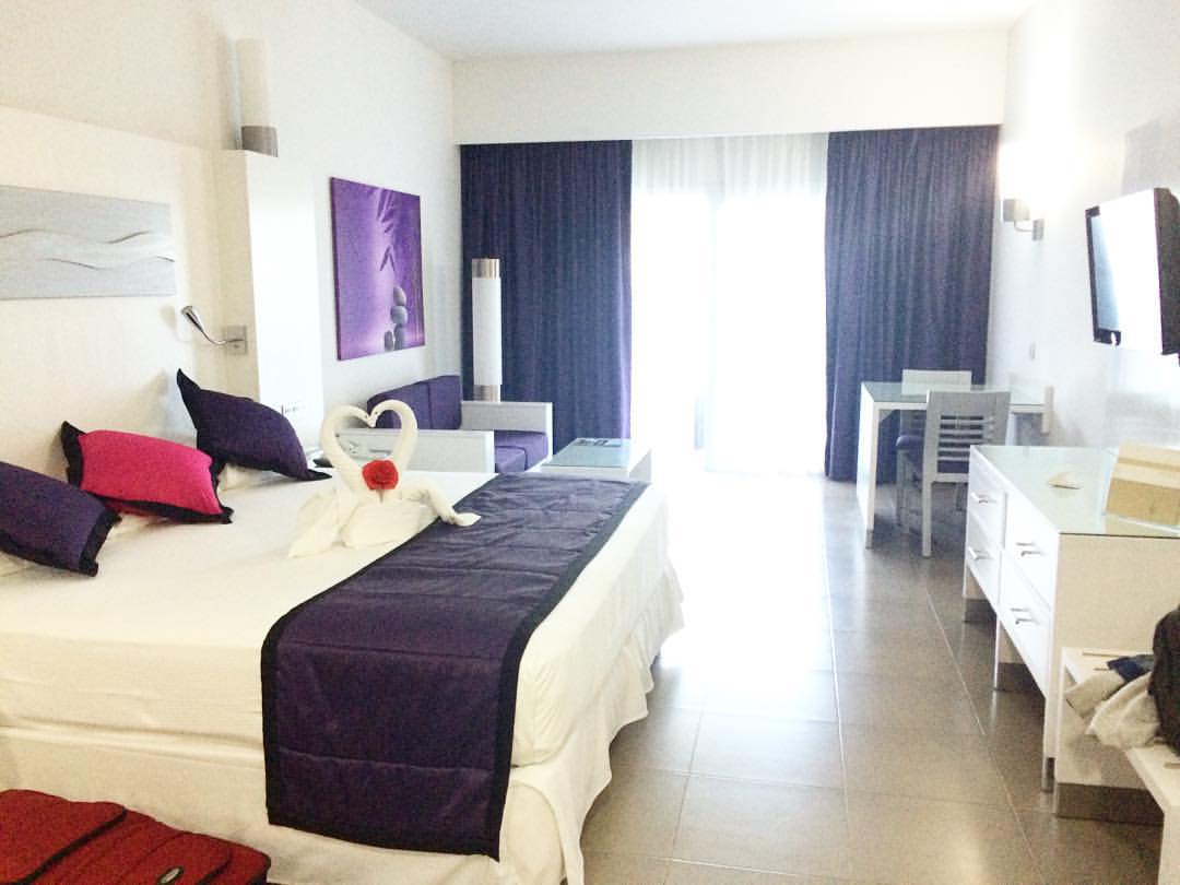 Our suite