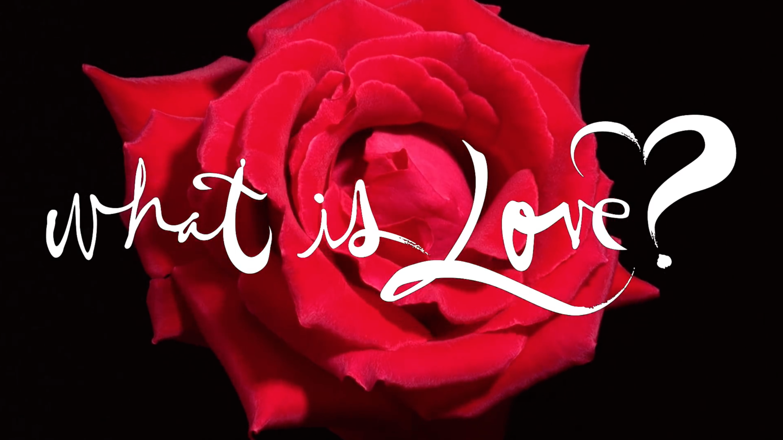 Camera Department // Teleflora - What is Love?