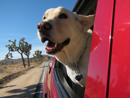 Roadtrip Bastian