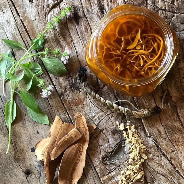 Some of my Adaptogenic allies. Can you name them? The shredded root one has been researched to be particularly nourishing for the adrenals.
Plants are ancient healers and have helped us to thrive and adapt to stresses in our environment from the begi