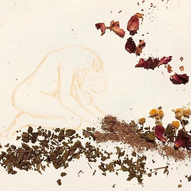 We all experience the pain of grieving. Whether we&rsquo;ve lost loved ones, or we&rsquo;re enduring the many layers of changes and uncertainties in these times, modern culture may not offer much insight or support for weathering these natural feelings. 🌿
Follow the link in the bio for my latest blog on resources, techniques and plant allies that can help us to honor our grief - and allow it to transform us, and our world, for the better.

Art by me, just a lil sketch with soil, nettles, rose, and chamomile.