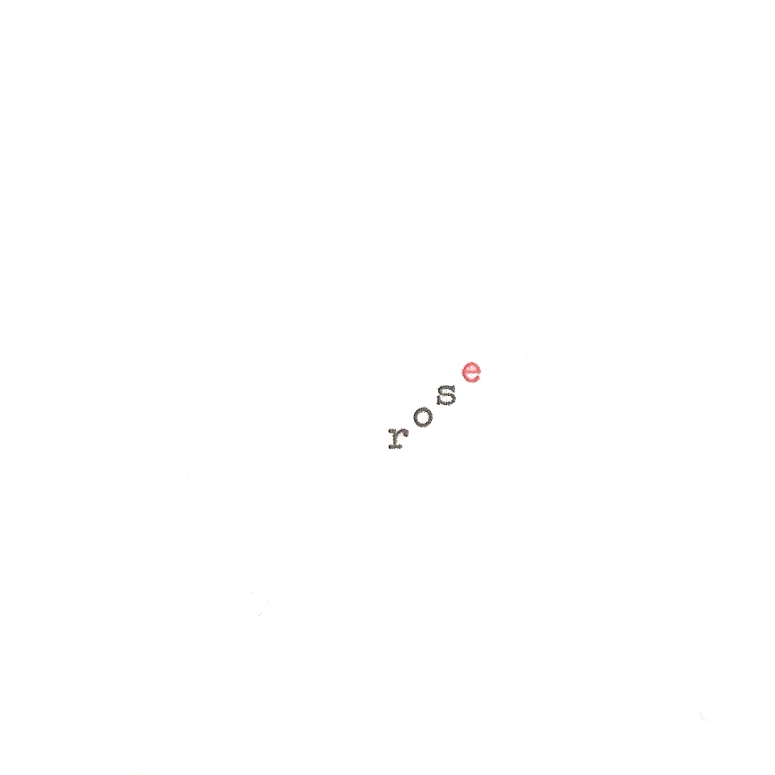 rose.jpg