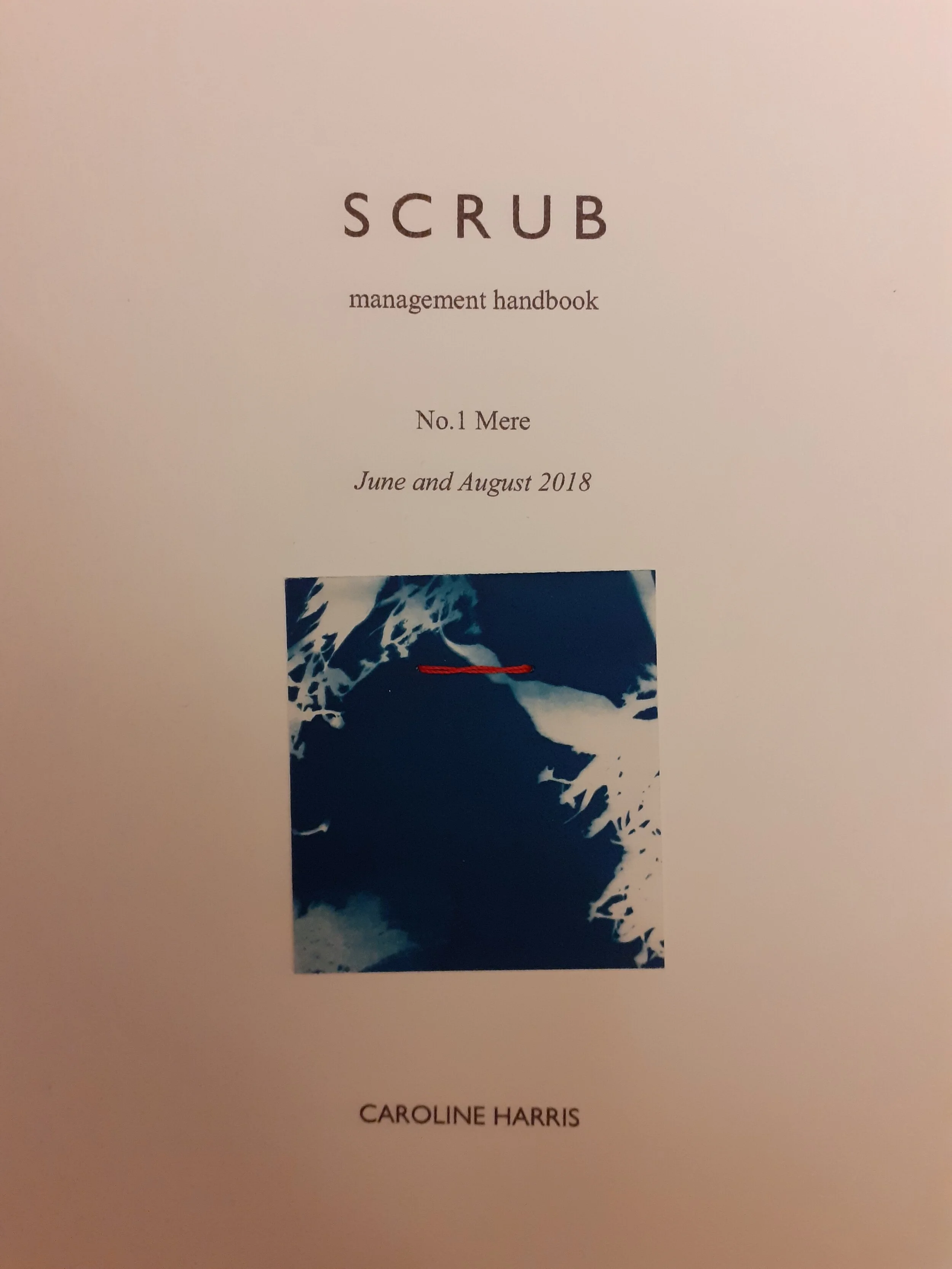 SCRUB pamphlet close.jpg