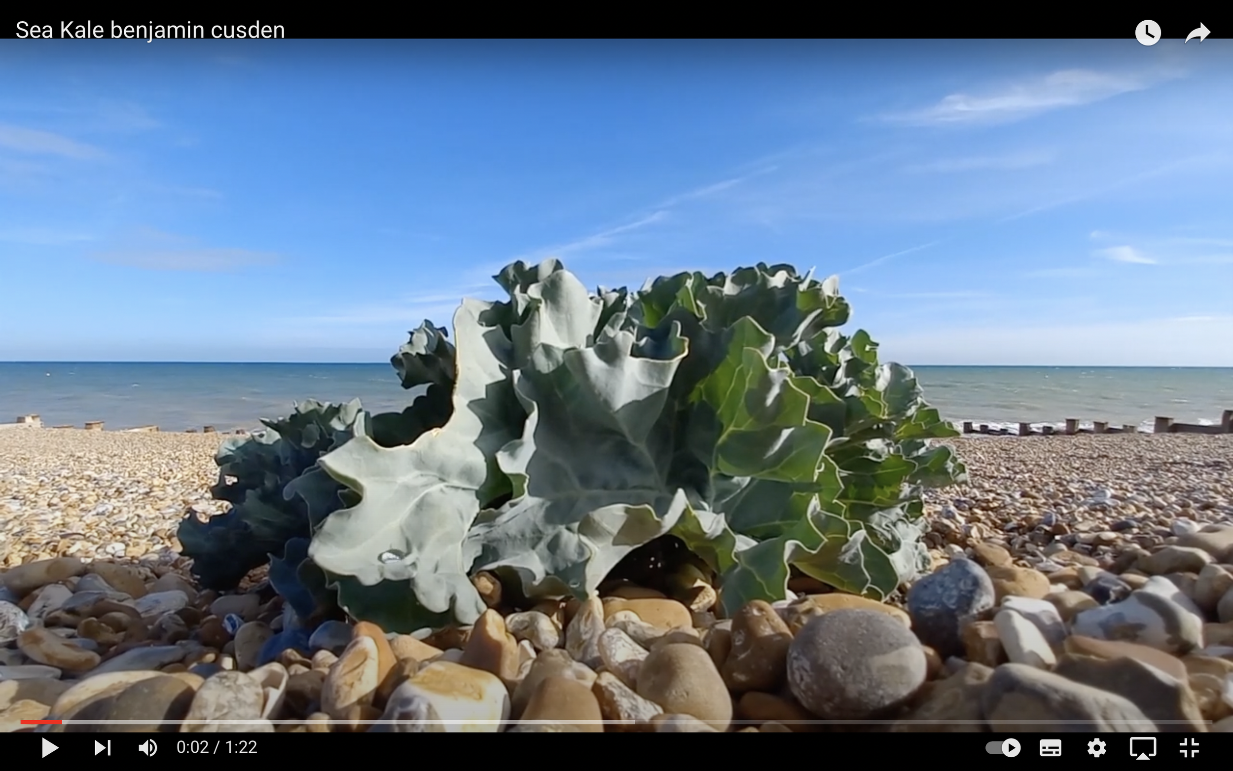 from CRAMBE MARITIMA OR by BENJAMIN CUSDEN