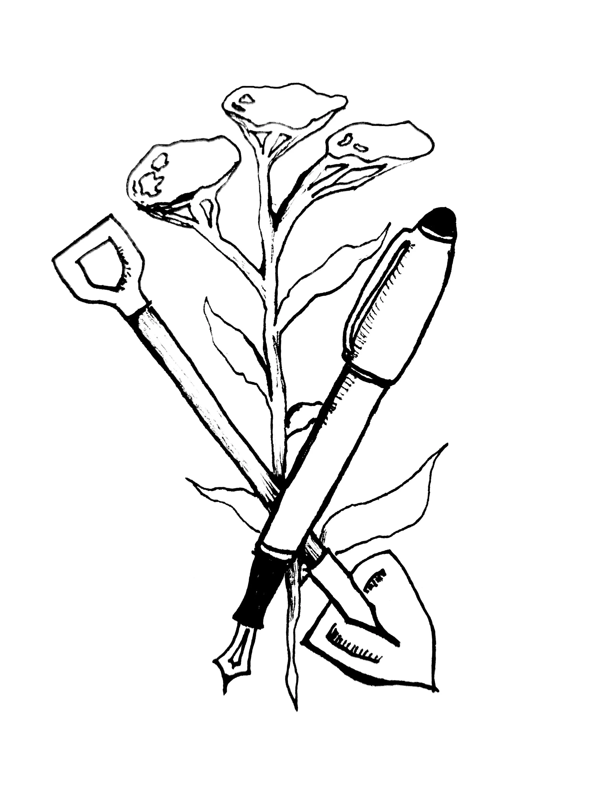 RachelLogo.jpg