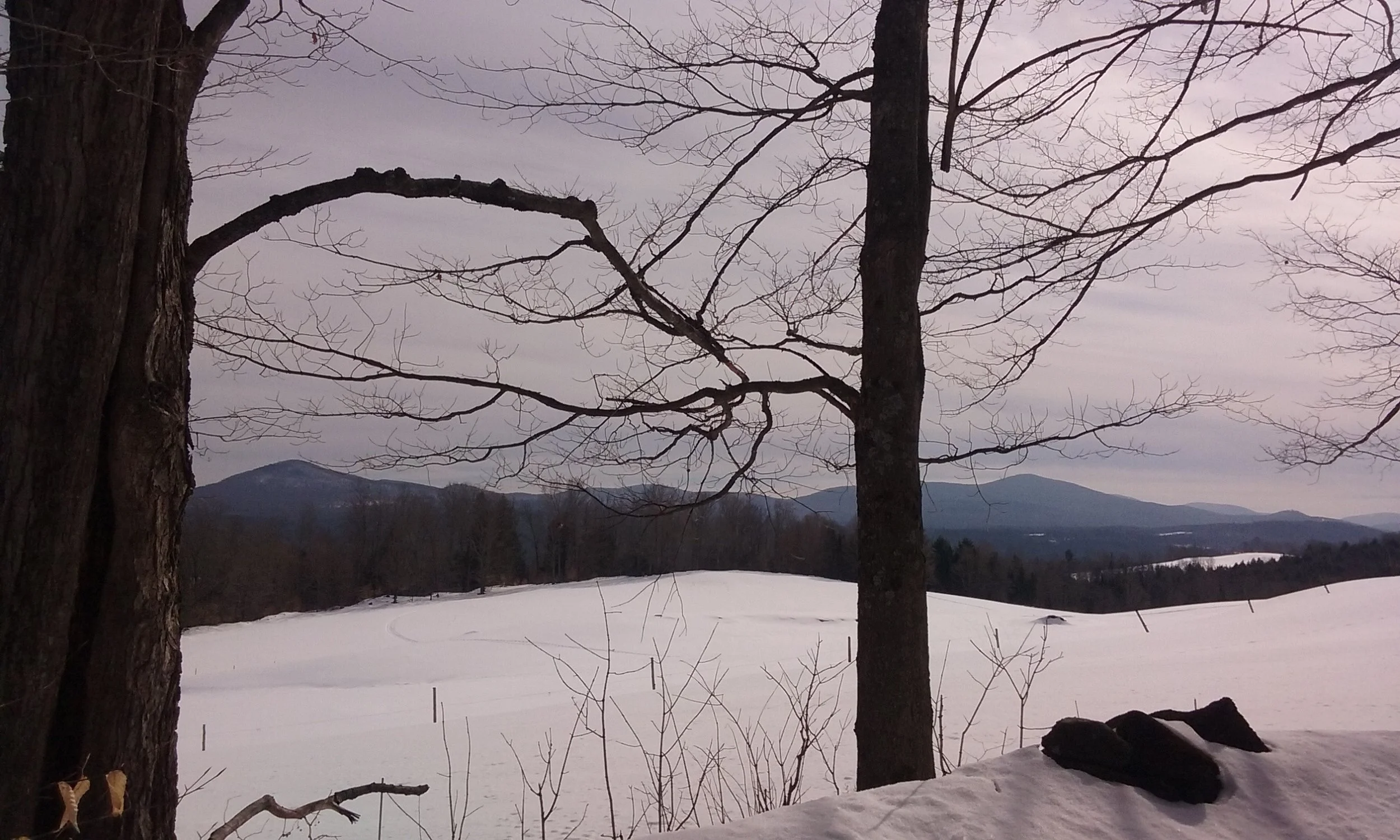 20170222_113147.jpg