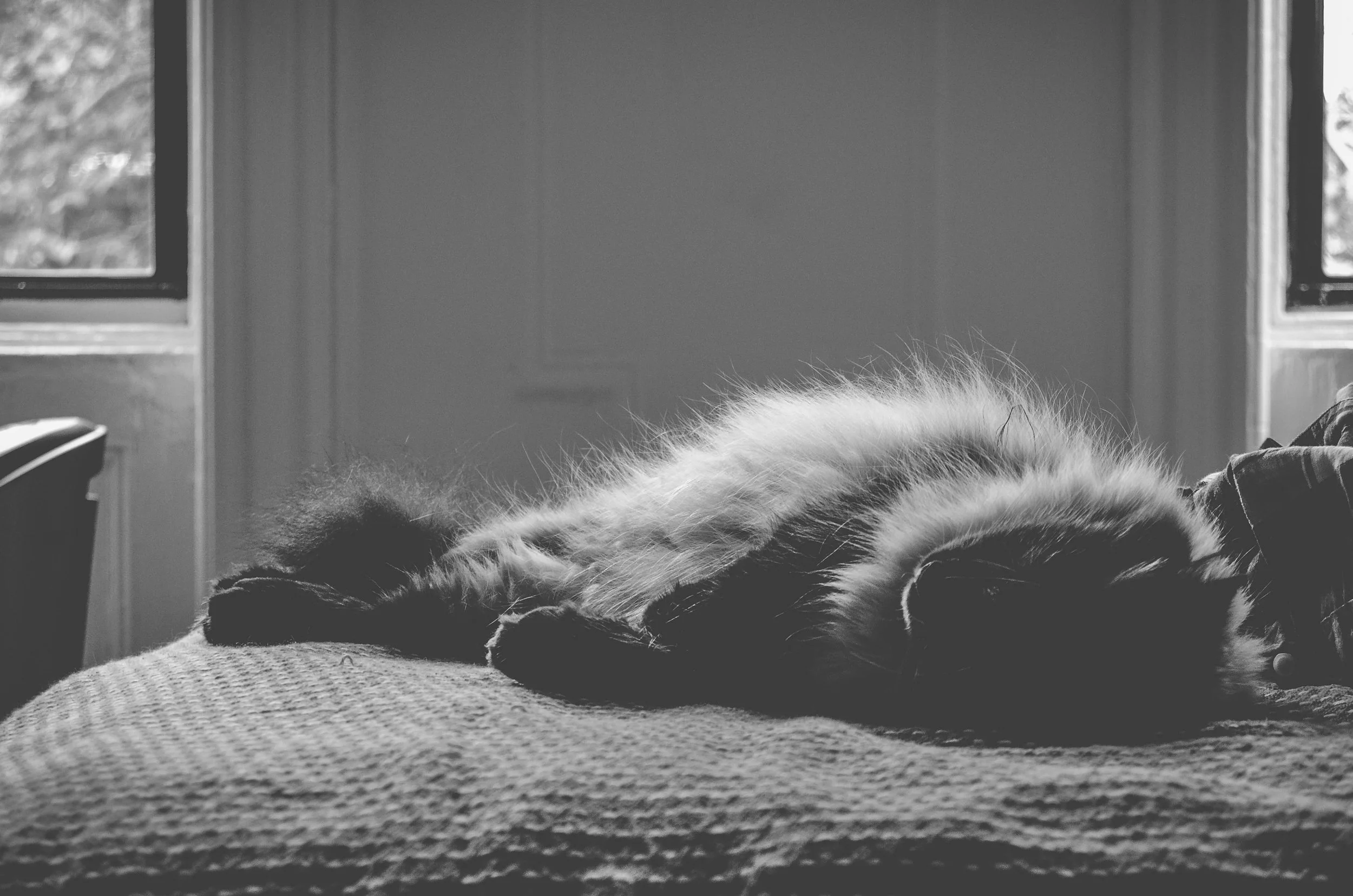 DSC_4092-2.jpg