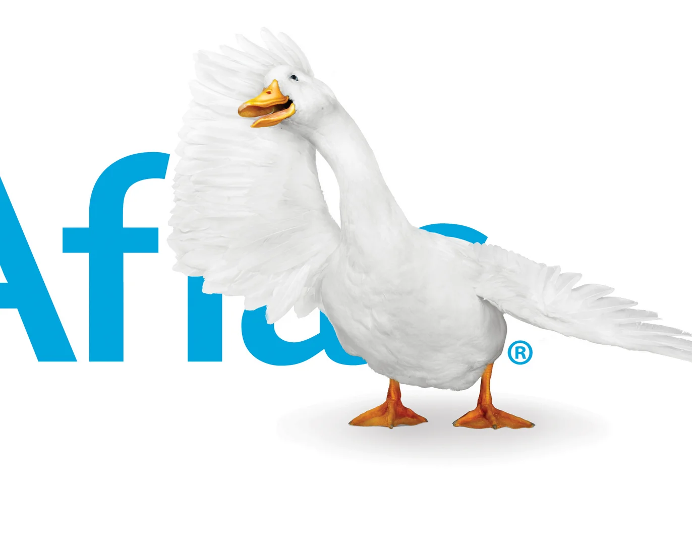 Aflac - Rap In The Park