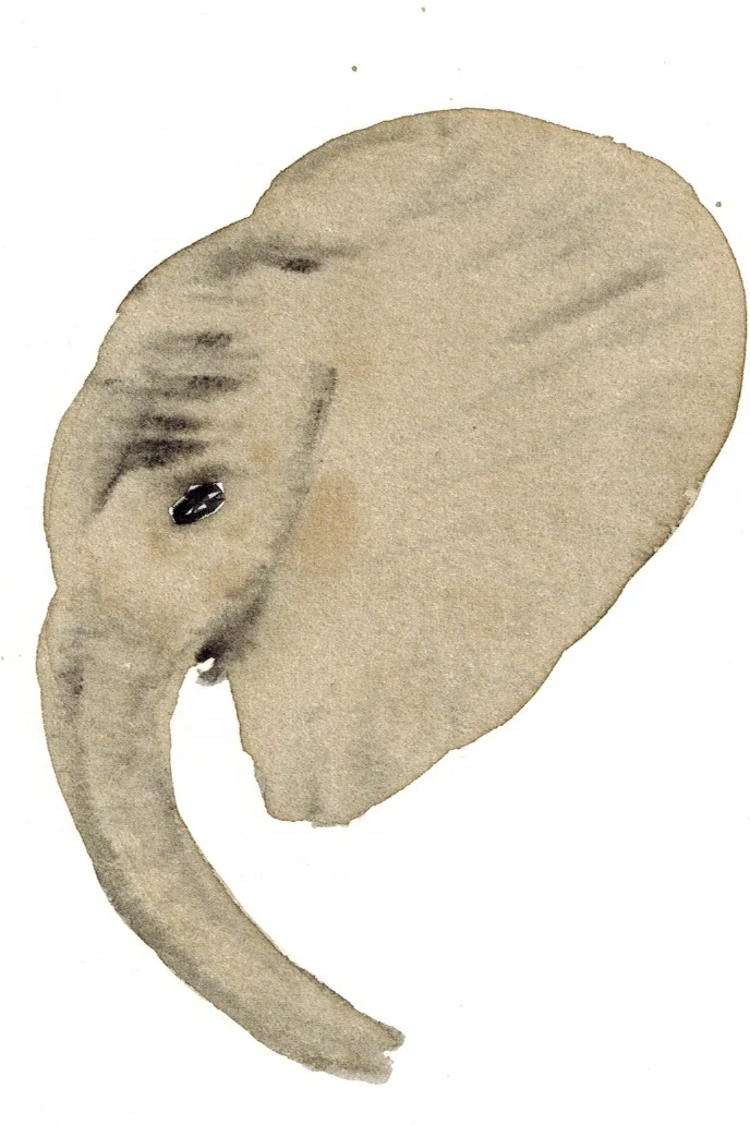 watercolor elephant.jpg
