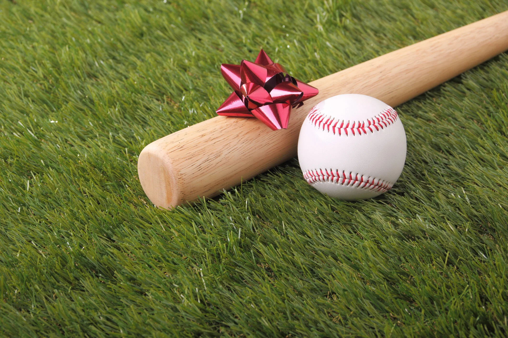 baseball bat gift