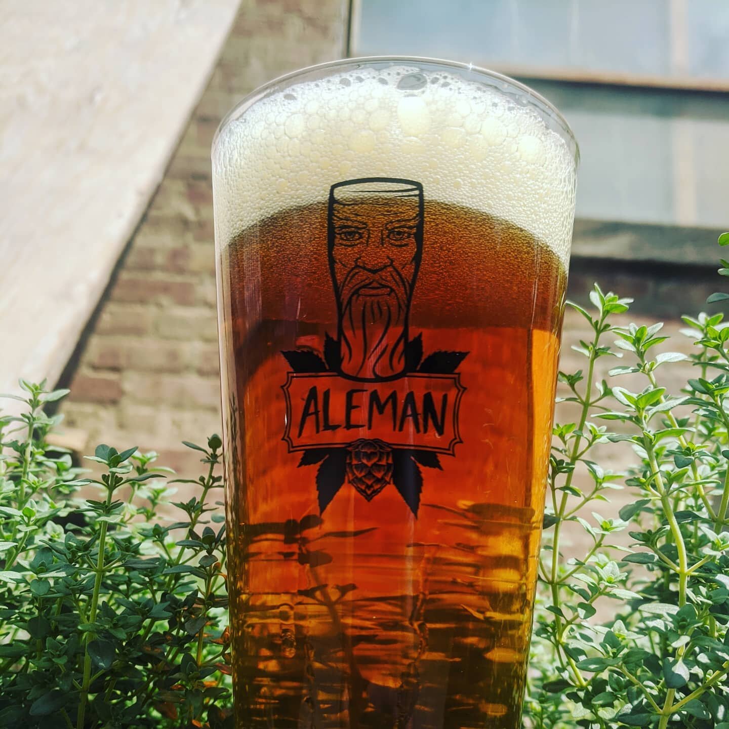 There's a lot of goofy glassware out there but nothing beats the classic Pint. Sturdy, stackable, and the perfect vessel for your favorite Aleman beer. Available just in time for the holidays at www.alemanchicago.com!

Superior quality and service ca