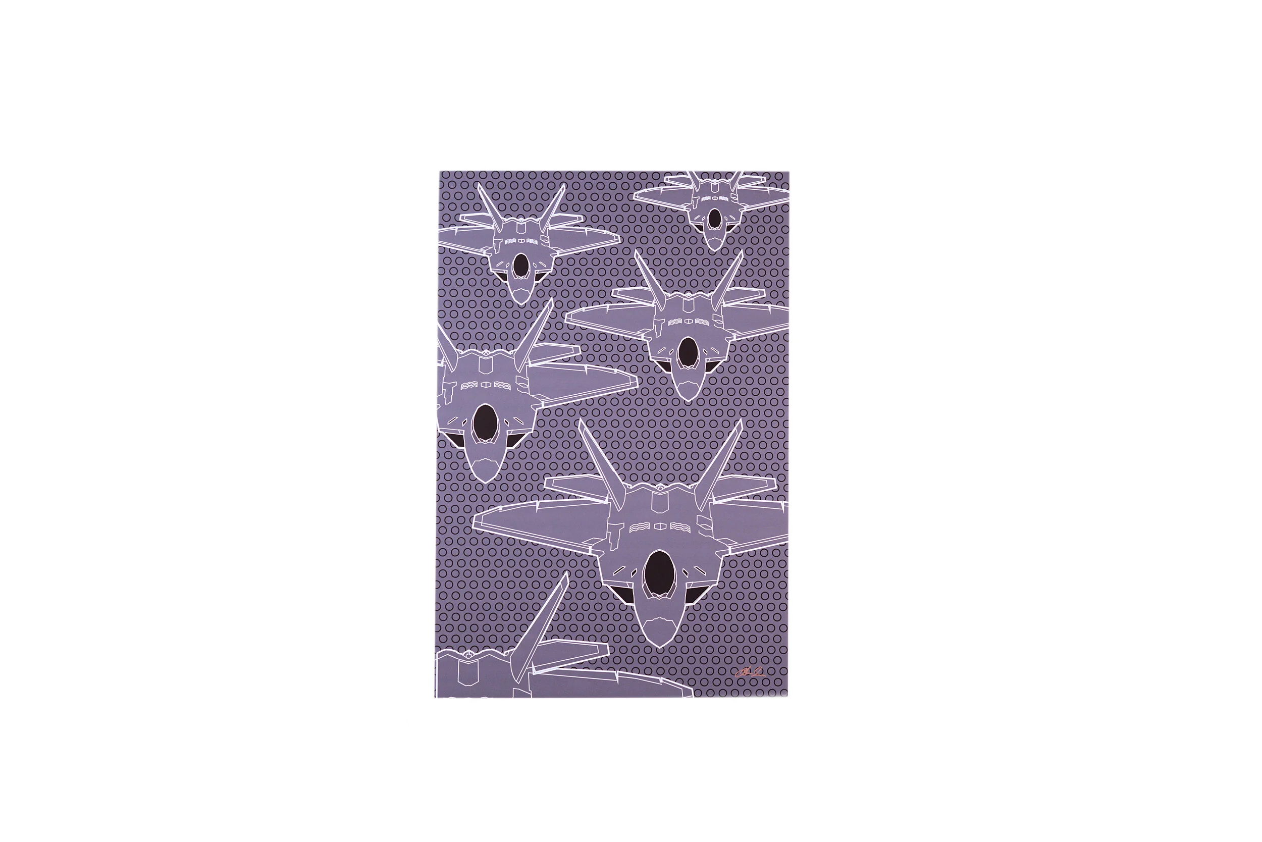 air squadron F22 poster