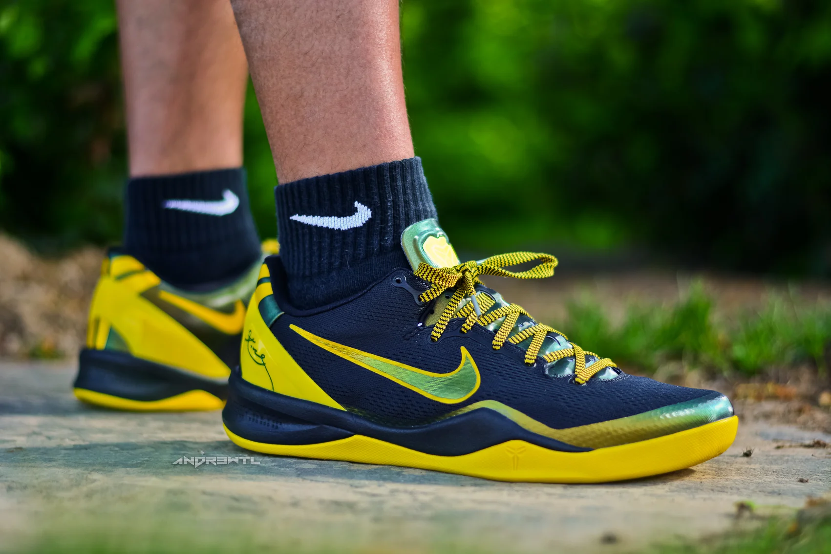 Da Vinci Kobe 8