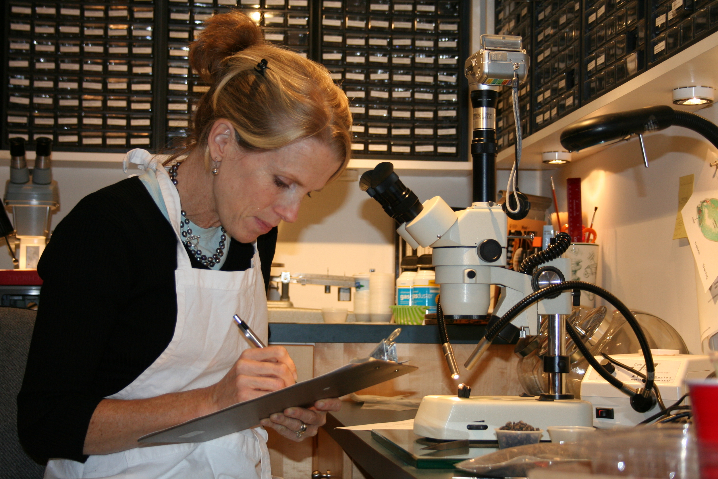 Justine McKnight, Archeobotanical Consultant LLC