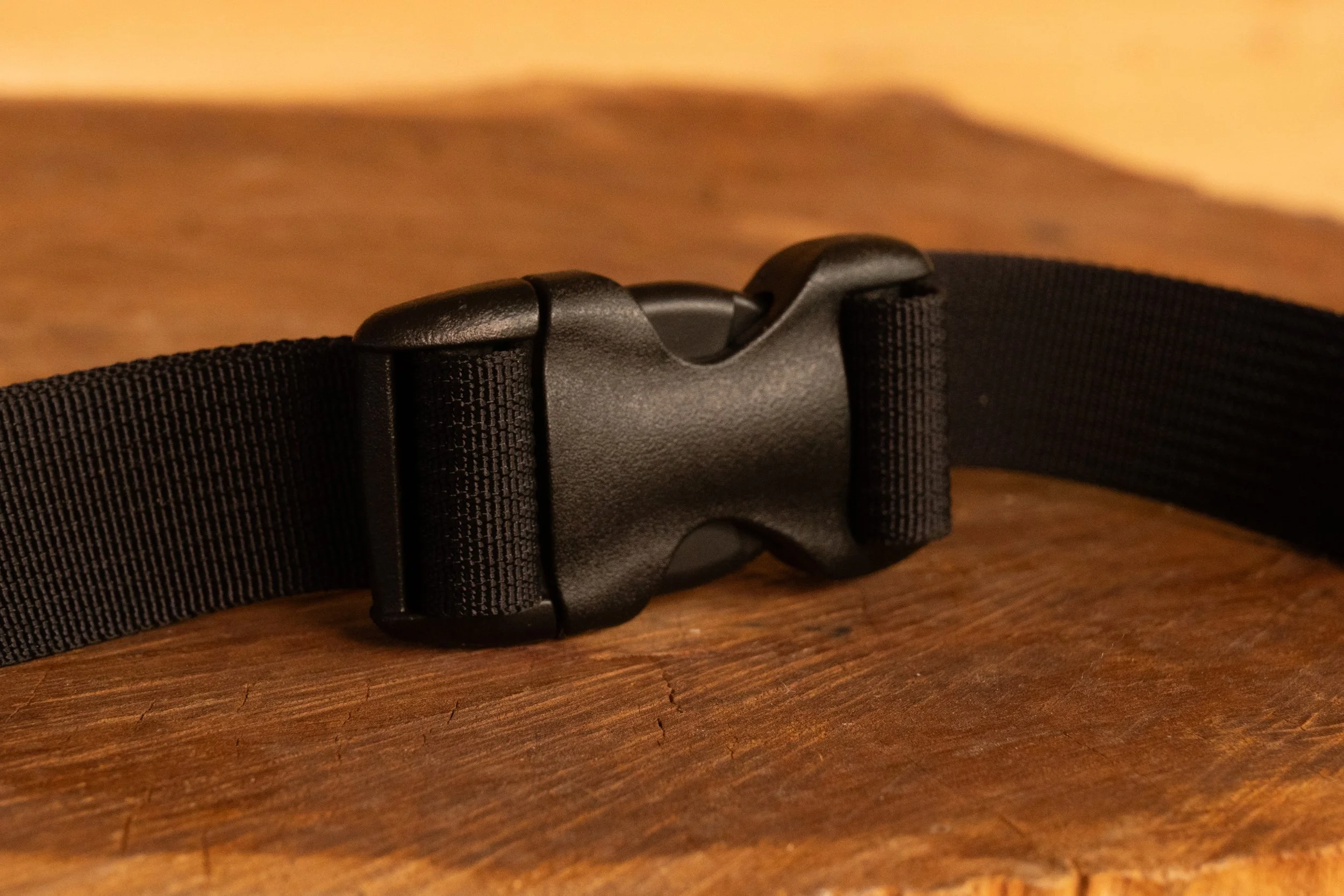 Buckle close up.jpg (Copy)