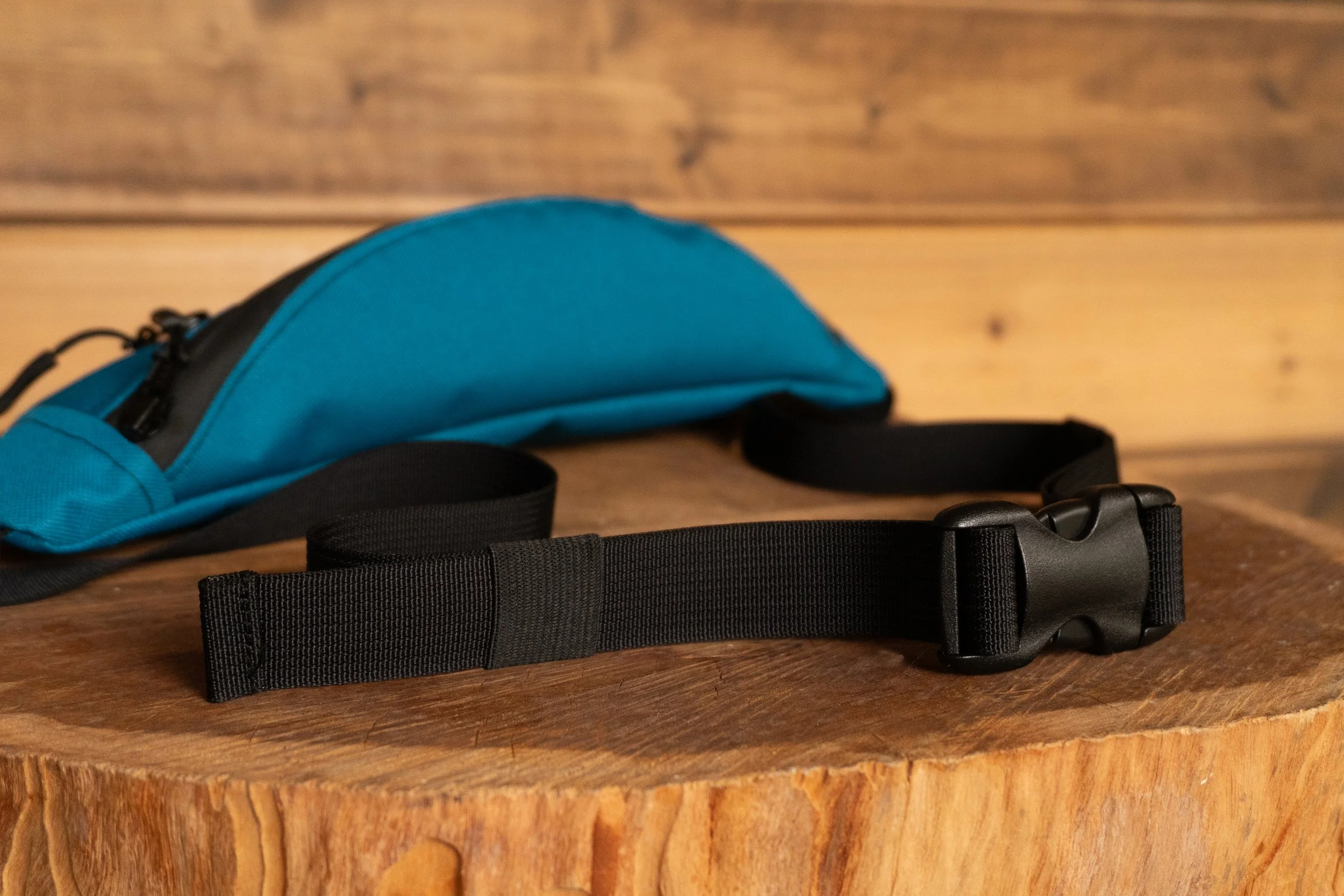 fannypack _aqua buckle.jpg