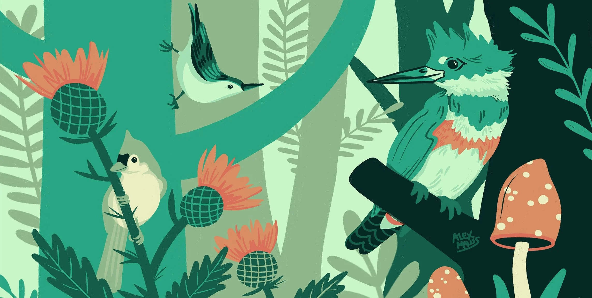 FORREST BIRDS image.jpg