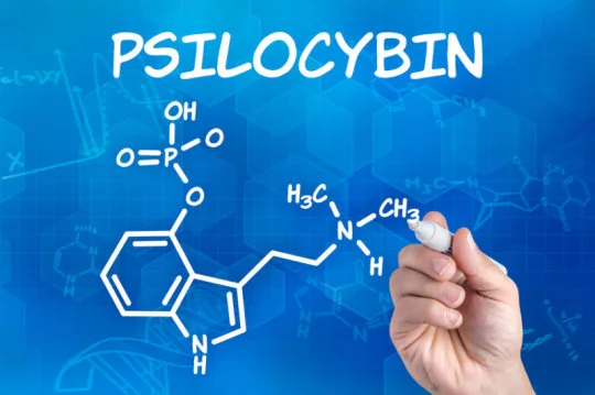 Psilocybin inhibits the processing of negative emotions in the brain