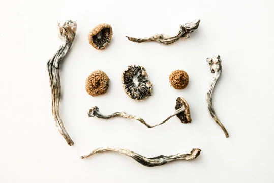 Hallucinogenic drug psilocybin eases existential anxiety in people with life-threatening cancer