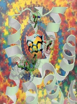Structure of LSD and its receptor explains its potency