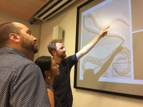 In parasitic worm infection both the host and the worm produce cannabis-like molecules
