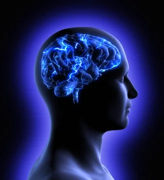 Blocking brain's 'internal marijuana' may trigger early Alzheimer's deficits