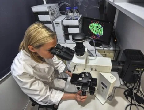 Cells chat via cannabinoids, about your future diabetes