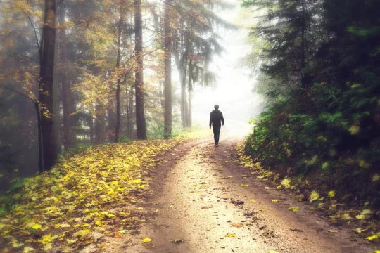 Just 20 minutes of contact with nature will lower stress hormone levels