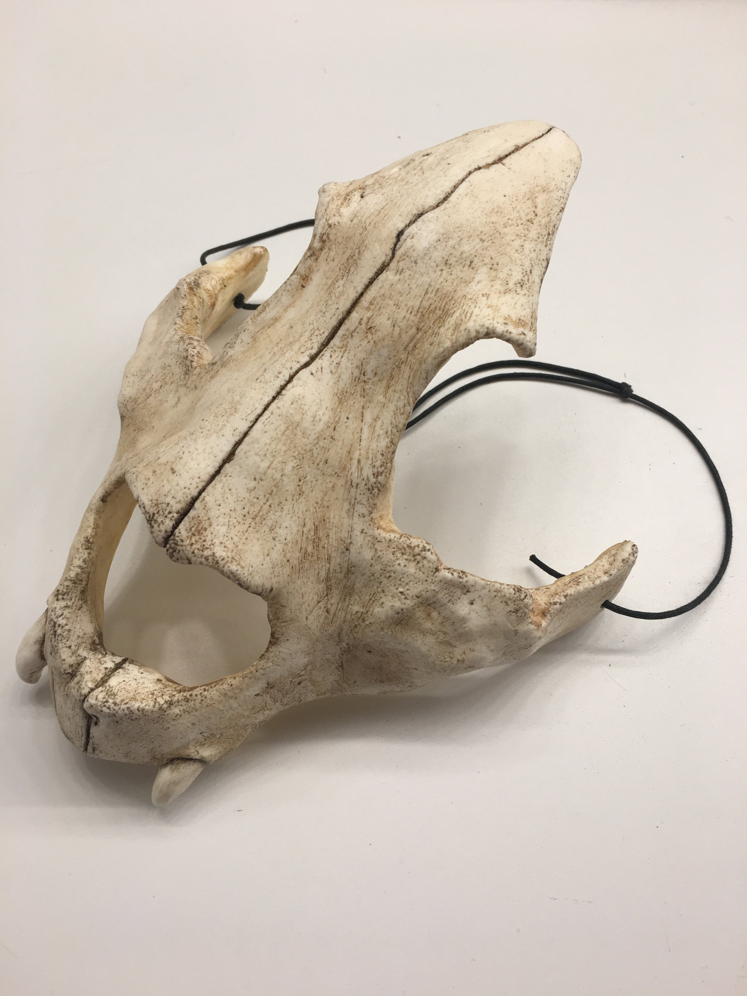 Commissioned Animal Skull Mask