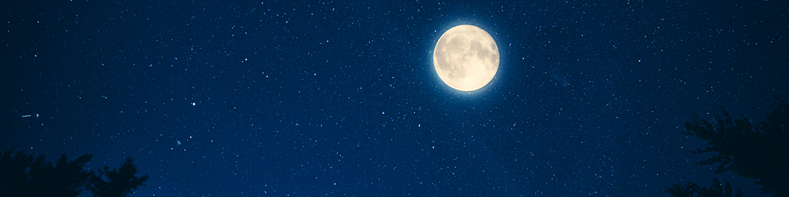 Untitled design - 2021-01-31T231414.204.png