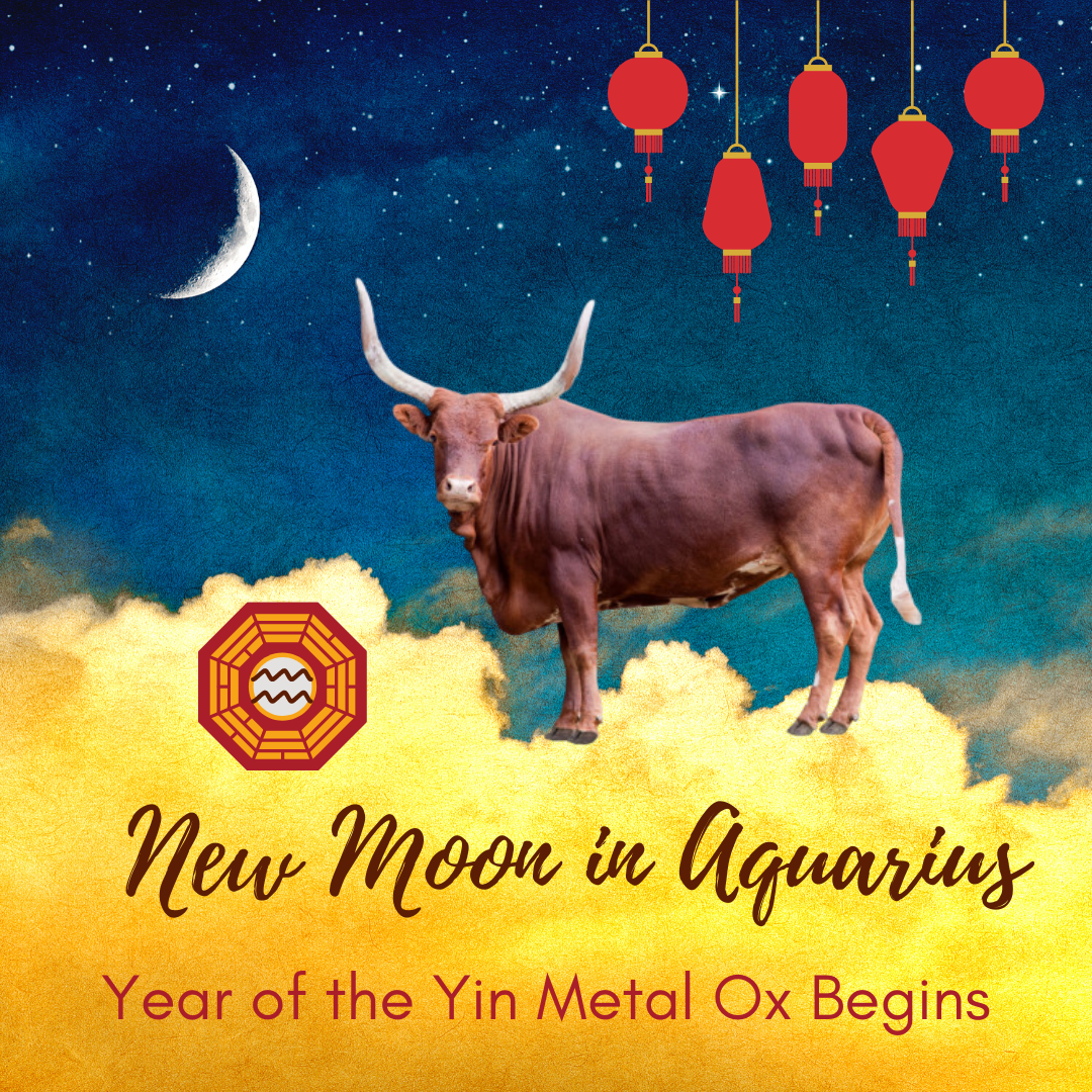 newmoonaquarius).png
