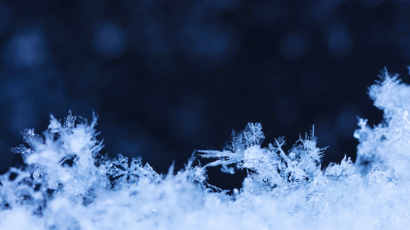 Untitled design (58).png