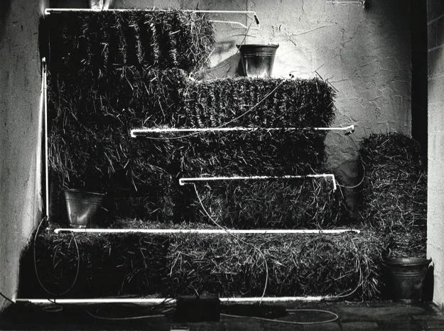 Untitled 1970