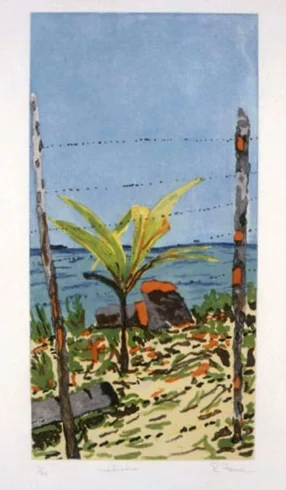 Mediodia 1988