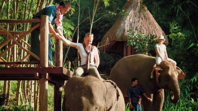 four+seasons+tented+-+passeio+elefante.jpg