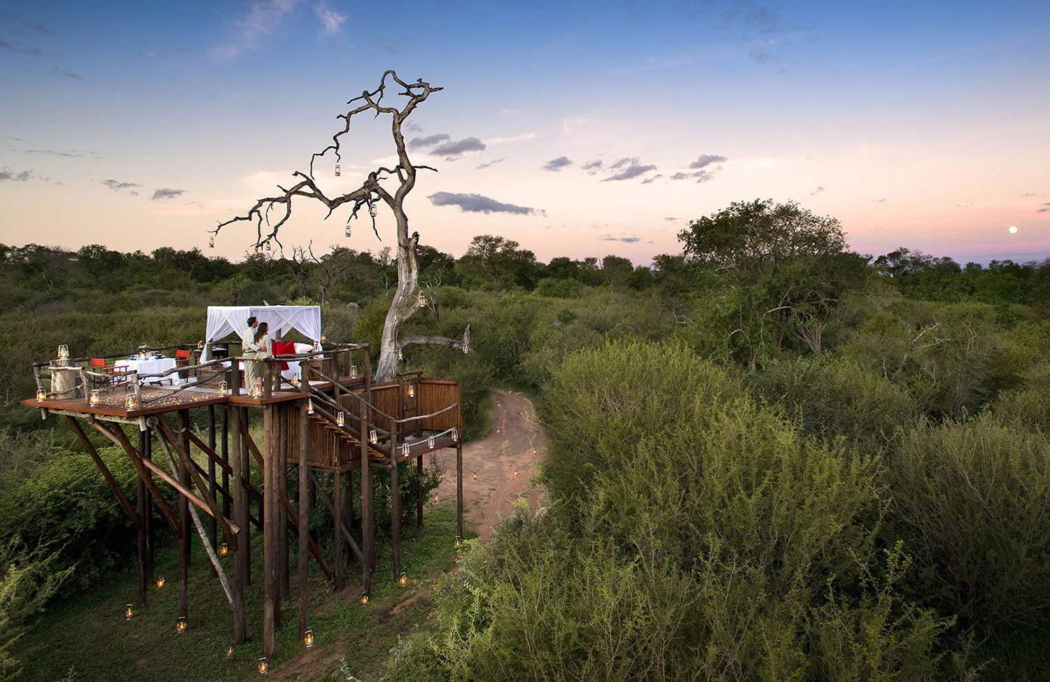 chalkey-treehouse-ultimate-safari-experience-sabi-sandsok.jpg