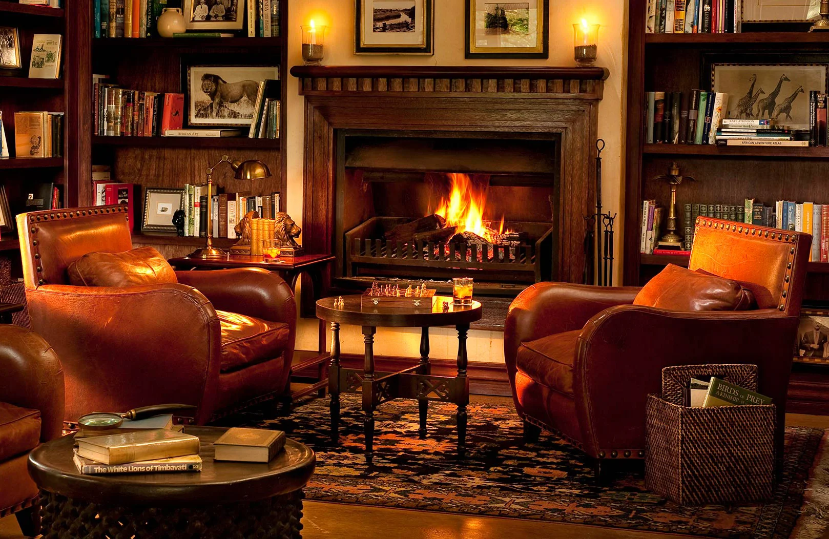 sabi-sands-library-lion-sands-tinga-lodgeok.jpg