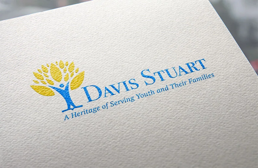 Davis Stuart Logo