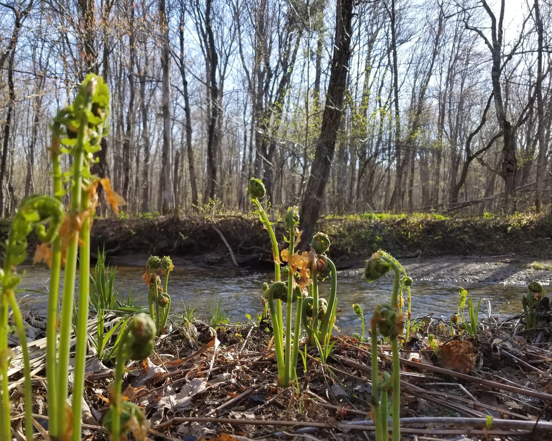 20180508_074929.jpg