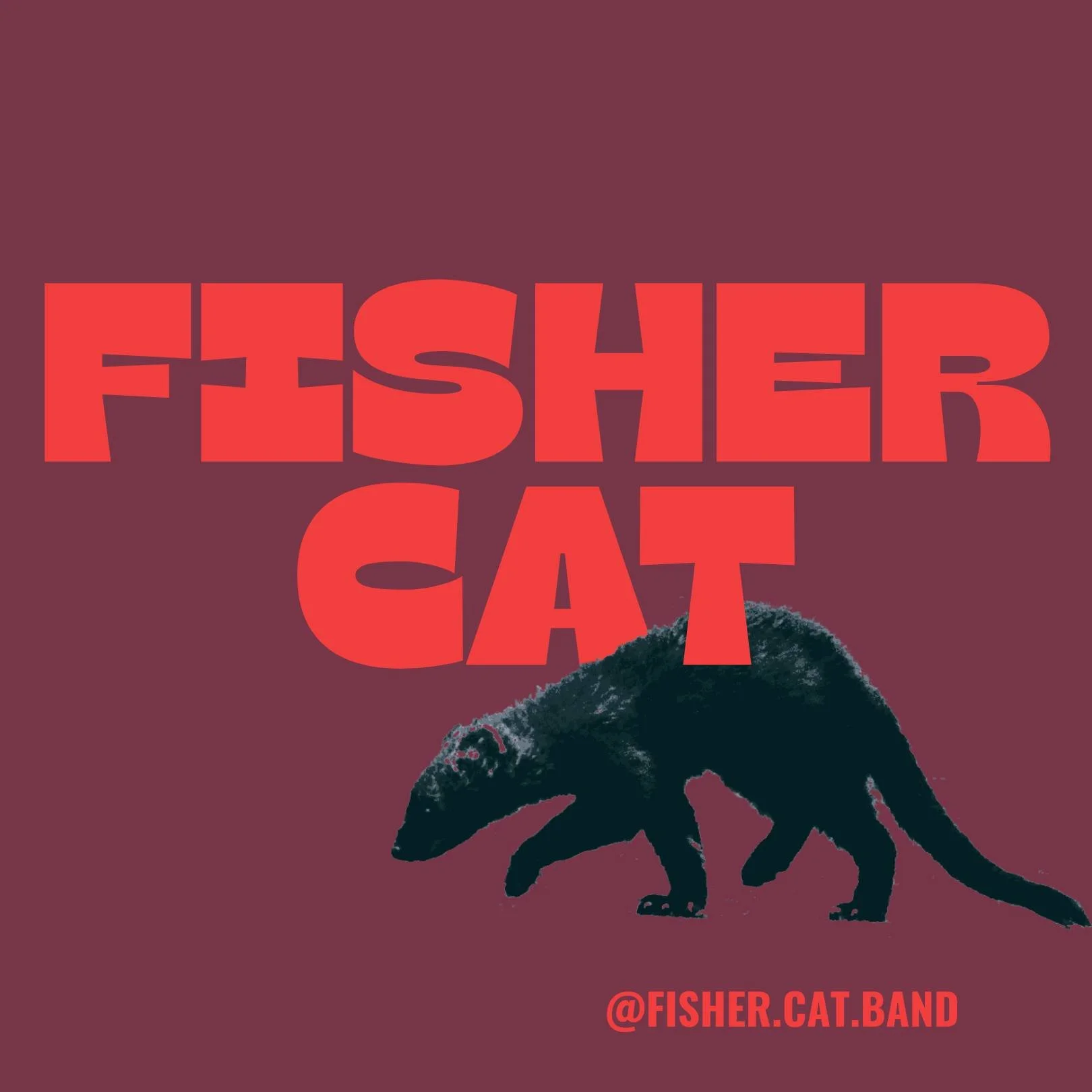 Fisher Cat