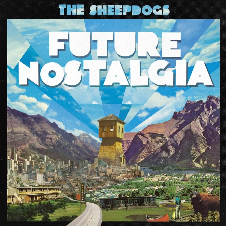 sheepdogs4.jpg
