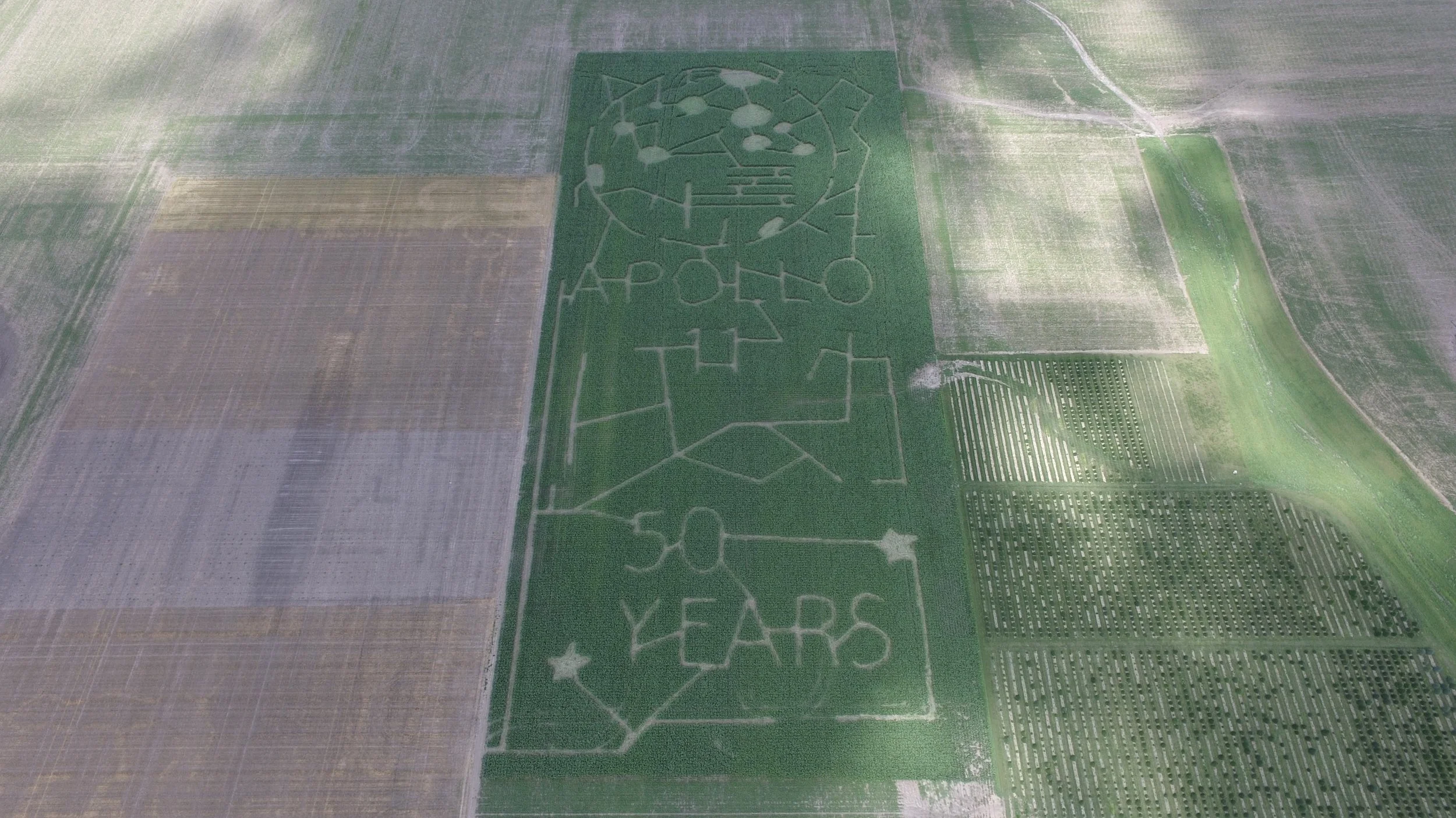 DJI_0010.JPG
