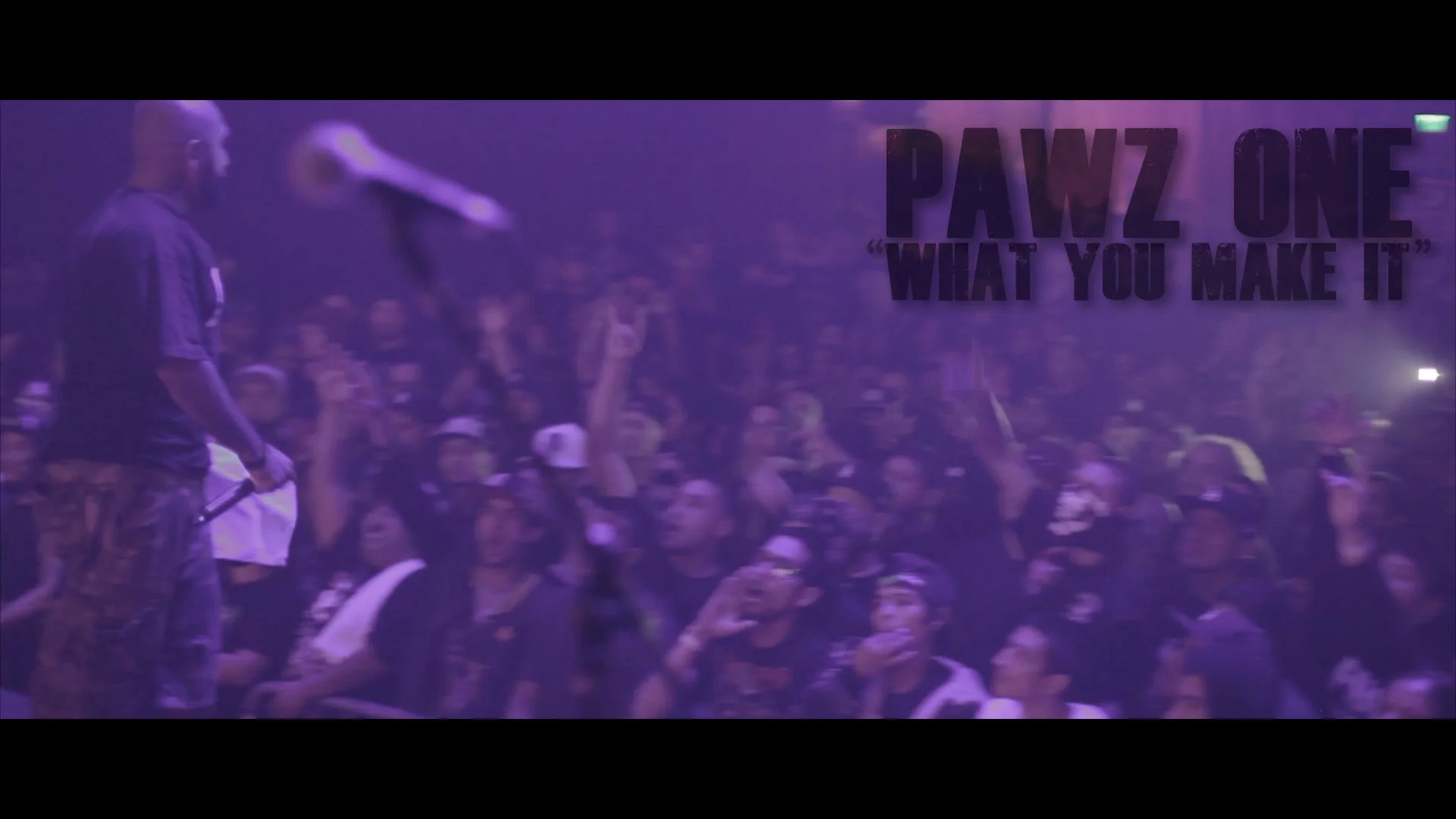 pawzforwebsite.jpg