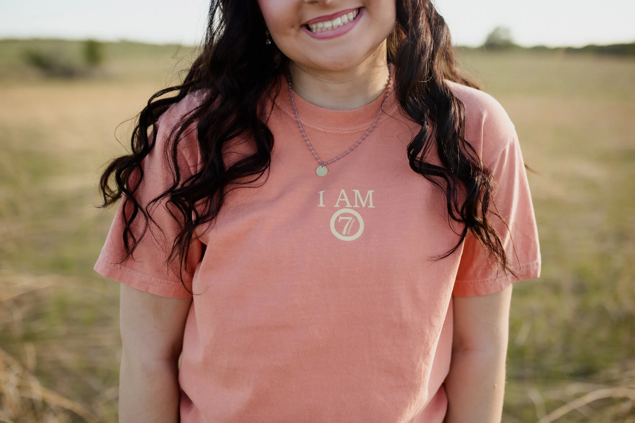 Christian comfort colors I AM T-shirt inspired by Jesus' 7 I Am Statements.  terracotta tee with cream screen print reminding believers of who Christ is.
